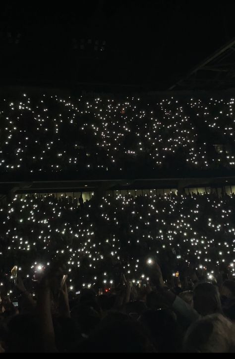 Night Concert Aesthetic, Concert Lights Aesthetic, Music Aesthetics, Concert Crowd, Singer Dr, Concert Lights, Lights Aesthetic, Harry Styles Songs, Phone Lighting