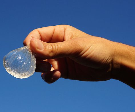 This Edible Water Bottle Could Help Prevent A Bunch of Pending Environmental Disasters Edible Water Bottle, Going Green, Year 1, The Environment, Go Green, Water Bottle, Water, Green