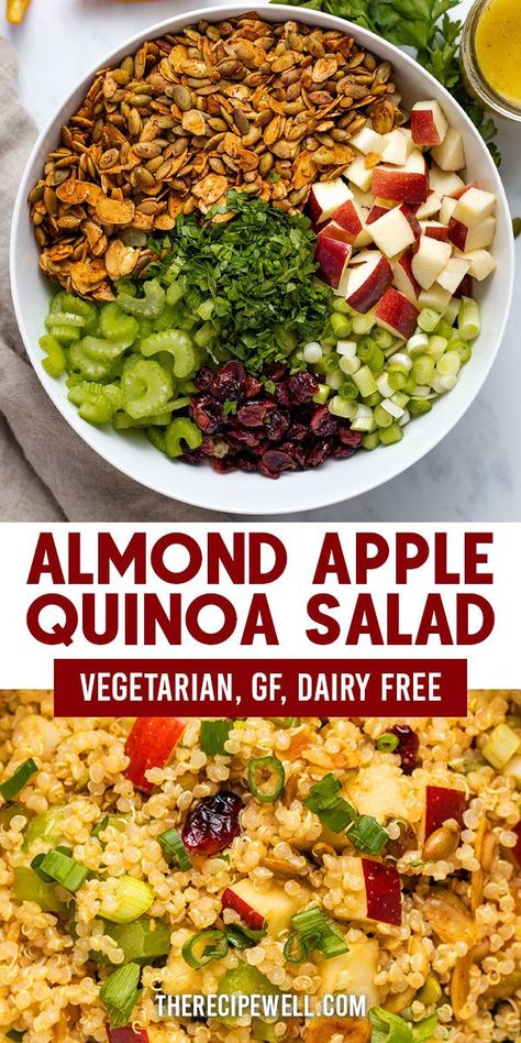 Apple Quinoa Salad, Apple Quinoa, Healthy Side Dish, Holiday Meal, Healthy Side, Quinoa Recipes, Quinoa Salad, Healthy Side Dishes, How To Cook Quinoa