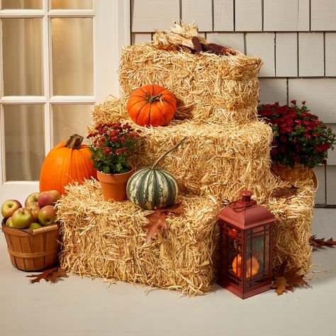 Fall Decor Ideas With Hay Bales, Cornstalk Decorating Ideas, Hay Decorations Party, Simple Outside Fall Decor, Faux Hay Bales, Straw Bale Fall Decor Porch, Bale Of Straw Fall Decor, Hay Bell Fall Decor, Haybells Fall Decor