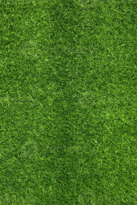 Green grass texture background grass garden concept used for making green background football pitch, Grass Golf, green lawn pattern textured background.. Green Grass Texture, Illustrator Designs, Background Football, Garden Concept, Grass Texture, Green Grass Background, Grass Garden, Floor Planner, Grass Background