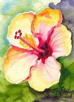 Hawaiian Flower Drawing, Hibiscus Drawing, Hibiscus Flower Drawing, Hawaii Painting, Flower Water, Canvas Painting Designs, Cute Paintings, Watercolor Flower Art, Inspiration Painting