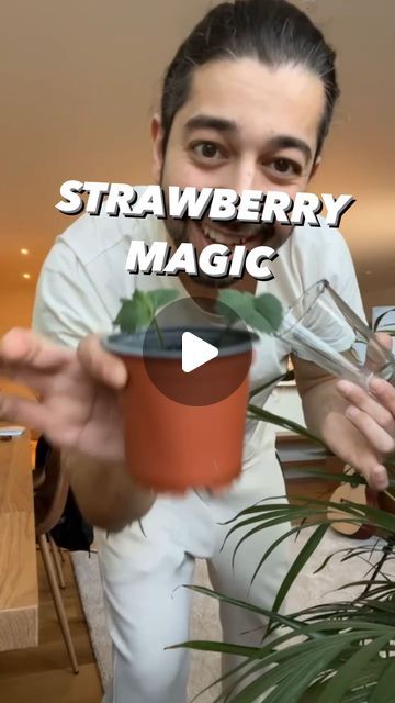 Armen Adamjan on Instagram: "How to grow your own strawberries! 🤯🍓 
.
.
.
.
#plants #strawberry #gardening #lifehacks #tipsandtricks" Plant Strawberry From Fruit, Strawberry Plants In Pots, Plant Strawberries, Strawberry Planting, Grow Strawberries From Scraps, How To Plant Strawberries, Strawberry Planting Ideas, Planting Strawberries, Grow Strawberries