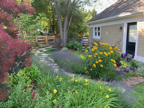 Colorado Garden Design, Colorado Front Yard Landscaping, Colorado Yard Landscaping, Colorado Landscape Ideas, Desert Cottagecore, Xeriscape Landscaping Colorado, Xeriscape Backyard, Xeriscape Ideas, Canva Colors