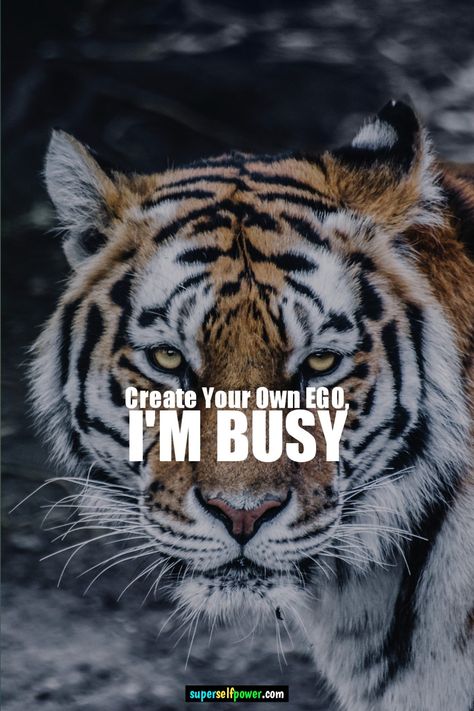 Create Your Own EGO, I'm Busy. Best Self Attitude Quote. Attitude Is Everything King Attitude Quotes, Ego Quotes Attitude, Quote Attitude, Attitude Quotes In English, Tiger Quotes, Attitude Quote, Ego Quotes, Cheer Up Quotes, Bad Attitude Quotes