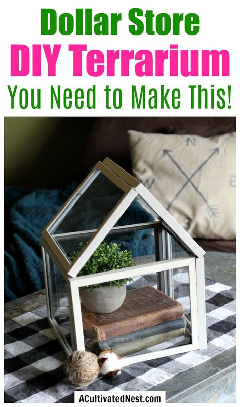 Dollar Store DIY Terrarium- If you want to highlight your decor or create a beautiful focal point, you need to make this beautiful (and easy) dollar store decor DIY! Here's how I made this dollar store DIY terrarium for less than 10 bucks! | dollar store decorating, Dollar Tree DIY, #dollarStoreDIY #DIY #ACultivatedNest Dollar Tree Frames, Storage For Clothes, Diy Succulent Terrarium, Diy Terrarium, Dollar Store Diy Organization, Easy Vegetables To Grow, Dekor Diy, Dollar Store Organizing, Dollar Tree Decor