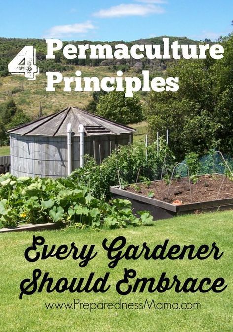 Permaculture Cottage Garden, Garden Mounds Landscaping Ideas, Colorado Plants, Permaculture Garden, Permaculture Principles, Hydroponic Farming, Hydroponics Diy, Hydroponic Growing, Straw Bale