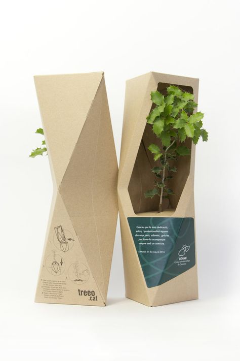 Plants Packaging Design, Plant Packaging Design, Plant Packaging Ideas, Plants Packaging, Eco Packaging Design, Plant Packaging, Kaktus Dan Sukulen, Corporate Giveaways, Cardboard Design