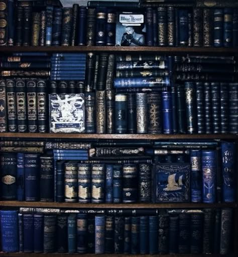 Dark Blue House Aesthetic, Dark Blue Books Aesthetic, Dark Blue Library Aesthetic, Navy Blue Academia Aesthetic, Blue Wizard Aesthetic, Dark Blue Book Aesthetic, Dark Academia Blue Aesthetic, Dark Blue Study Aesthetic, Blue Dark Academia Aesthetic