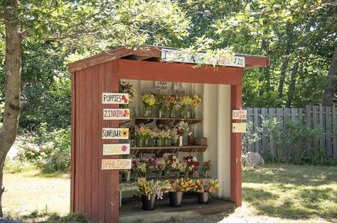 Robyn Athearn of Morning Glory Farm keeps this West Tisbury stand stocked. Farmstand Ideas, Art Ideas For Home, Roadside Farm Stand, Seasonal Decor Ideas, Roadside Stand, Fruit Stall, Farmers Market Display, Million Flowers, Island Aesthetic