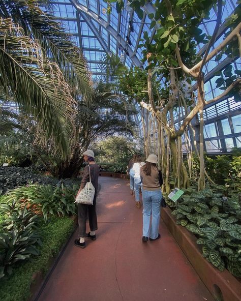 conservatory memories🌿🌷🌴 #garfieldparkconservatory #conservatory #chicago #chicagotravel #travel #travelideas #midwest Lincoln Park Conservatory, Garfield Park Conservatory, Chicago Travel, Chicago Photos, Lincoln Park, Travel Inspiration, Chicago, Travel, On Instagram