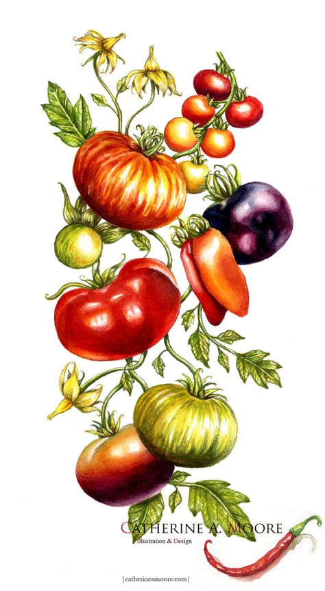 Half-sleeve tattoo commission of an imagined tomato vine. Tomatoes pictured include Sweet 100s, Mr. Stripey, Indigo Rose, San Marzanos, Mortgage Lifter, Purple Cherokee, and Green Zebra. Veg Tattoo, Veggie Tattoo, Half Sleeve Tattoos Lower Arm, Easy Half Sleeve Tattoos, Tomato Tattoo, Vegetable Tattoo, Tomato Drawing, Culinary Tattoos, Watermelon Tattoo