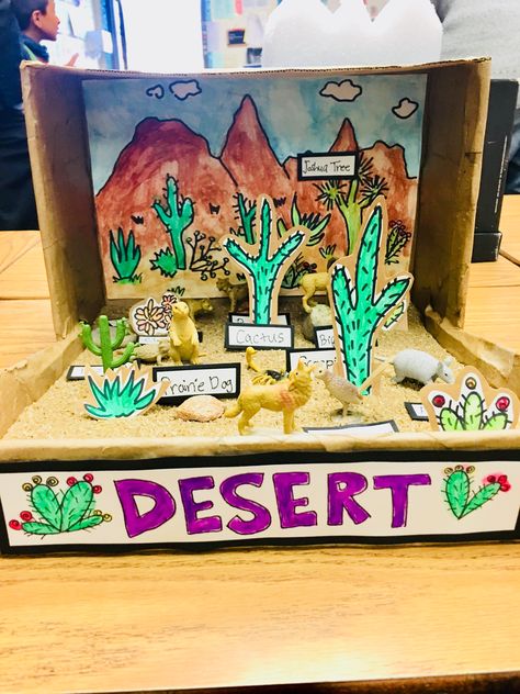 Desert Biome Diorama, Desert Biome Shoebox Project, Desert Diarama Ideas, Sahara Desert Diorama, Diaroma Ideas Kids, Desert Diorama Ideas, Desert Habitat Project, Desert Diorama Projects, Desert Project For School