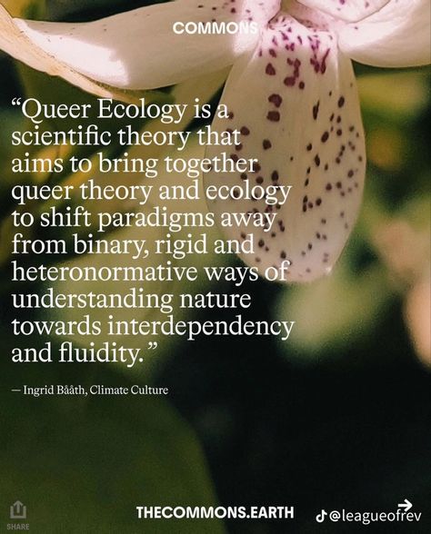 Queer Ecology, Late Capitalism, Studies Aesthetic, Queer Theory, Conceptual Photo, Funny Feeling, Commonplace Book, Short Fiction, Stream Of Consciousness