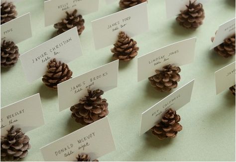 Pinecone table numbers, name cards - wedding daze Ideas Decoracion Navidad, Thanksgiving Place Cards, Wedding Card Holder, Diy Thanksgiving, Pine Cone Decorations, Cones Crafts, Seating Cards, בר מצווה, Pine Cone Crafts