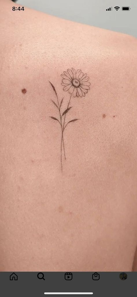 | Creative Tattoos Aesthetic By  Tehya Richter Daisy Dainty Tattoo, Sunflower Tattoo Tiny, Simple Aster Tattoo, Daisy Tattoo Flower, Gerbera Daisy Tattoo Black And White, Simple Aster Flower Tattoo, Marguerite Daisy Tattoo, Flower Tattoos Sunflower, Daisy Behind Ear Tattoo