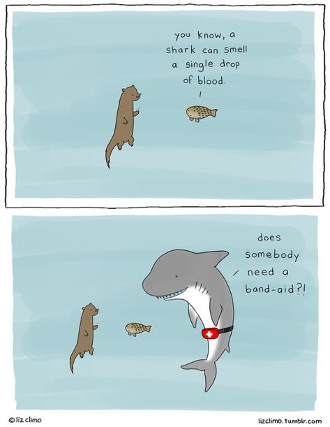 wholesome shark.. Liz Climo Comics, Liz Climo, Animal Comics, The Awkward Yeti, Funny Animal Comics, Sharks Funny, Silly Animals, Wholesome Memes, Cute Comics