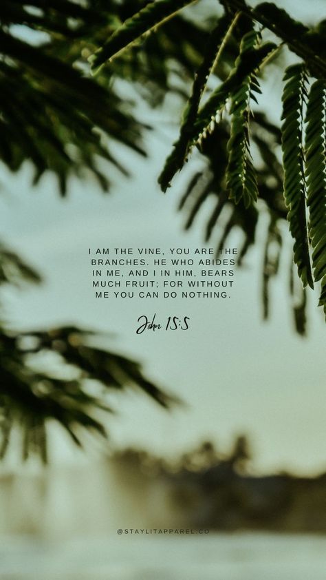 I Am Making All Things New Bible Verse, Bible Verse Photography, John 15 5 Wallpaper, Beach Verses, Christian Verse Wallpaper, John 15:5, Bible Verse Aesthetic Wallpaper, Bible Aesthetic Wallpaper, Bible Wallpaper Iphone