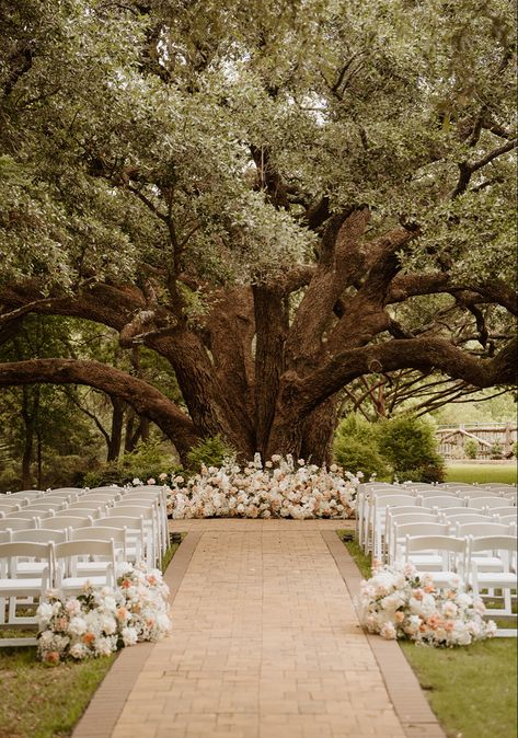 Wedding Venue Willow Tree, Decorate Tree Wedding, Laid Back Outdoor Wedding, Plant Wedding Aesthetic, Pretty Wedding Locations, Gorgeous Wedding Venues Outside, Under A Tree Wedding, Wedding Ideas Spring Outdoor, Outside Wedding Venues Outdoor Ceremony