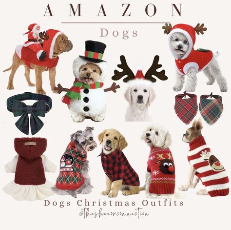 Dog Christmas Outfits, Christmas Photo Outfits, Outfits For Dogs, Preppy Christmas Outfit, Christmas Photos Outfits, Christmas Dog Outfits, Adventure Ideas, Dogs Christmas, Cute Christmas Outfits