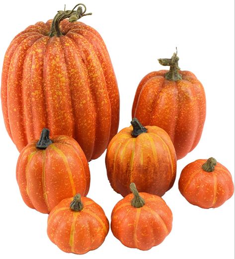 Fall pumpkins, fall decor, fall decoartions, pumpkins, halloween decorations #halloween #halloweenideas #falldecor #fall Pumpkin Decorating Diy, Pumpkin Mold, Fake Pumpkins, Pumpkin Ornament, Artificial Pumpkins, Beautiful Pumpkins, Harvest Pumpkin, Diy Xmas Gifts, Foam Pumpkins