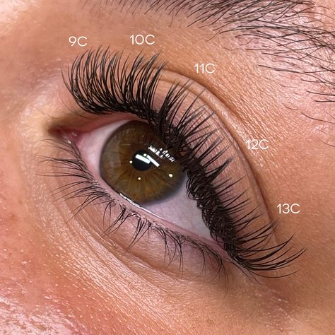 Classic Lash Extensions Cat Eyes, Classic Lash Extensions Map, C Curl Lash Map, Cashmere Lashes Extensions, Cat Eye Classic Lash Extensions Map, Classic Lash Extensions Mapping C Curl, Classic Cat Eye Lash Extensions Mapping, Eye Lash Extensions Map, Cat Eye Mapping Classic