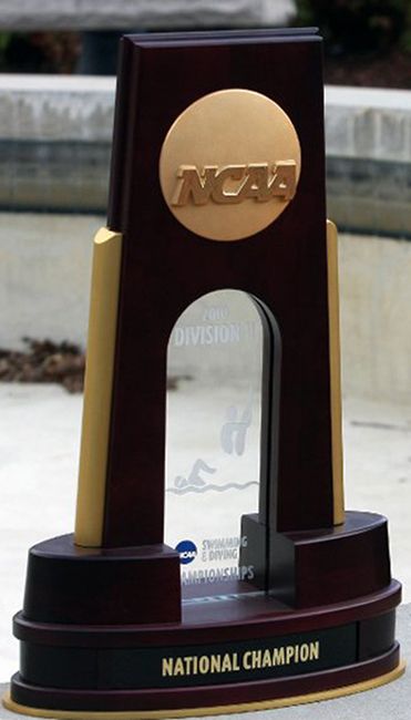 2010 NCAA Division II Swimming & Diving Championship Trophy Swimming Trophy, Work Vision Board, Basketball Championship, Ncaa Championship, Vision Board Images, Swimming Diving, Ncaa Basketball, Manifestation Board, Dream Board