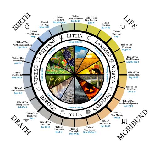 Naturalistic pagan lunisolar wheel of time and life with ostara, beltane, litha, lammas, mabon, samhain, yule, and imbolc. Pagan Calendar Wheels, Naturalistic Paganism, Pagan Images, What Is Paganism, Witches Wheel, Pagan Calendar, Pastel Witch, Pagan Beliefs, Slavic Paganism