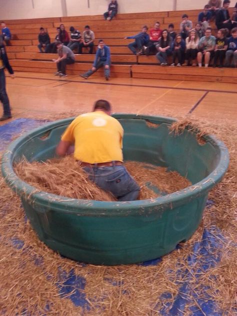 Penny in a haystack challenge. Holton FFA - www.OneLessThing.net Farm Themed Carnival Games, Ag Olympics Games Activities, Ffa Games Activities, Ffa Ideas Activities, Ag Olympics Games, Ffa Week Ideas Activities, Ffa Meeting Ideas, Ffa Week Ideas, Ag Olympics