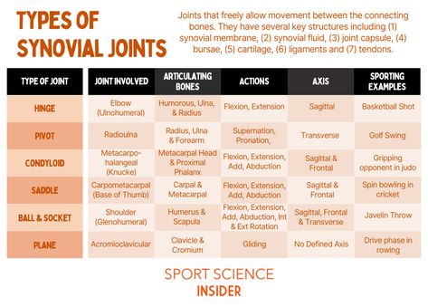 Body Joints Anatomy, Classification Of Joints, Classification Of Joints Anatomy, Types Of Joints Human Body, Types Of Joints Anatomy, Joints Anatomy Notes, Synovial Joints, Types Of Joints, Human Joints