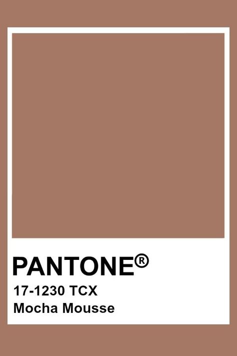 Pantone Mocha Mousse Mocha Mousse Pantone, Mocha Colour Palette, Mocha Color Palette, Spring Summer 2023 Trends, Pantone Brown, Summer 2023 Trends, Brown Pantone, Pantone Tcx, Mocha Mousse