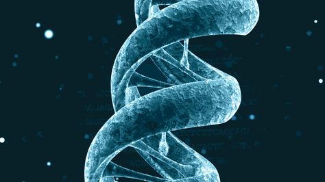 dna Dna Facts, Social Learning Theory, Norms And Values, Nature Vs Nurture, Human Genome, Human Dna, Genetic Engineering, Powerpoint Background, Gene Expression