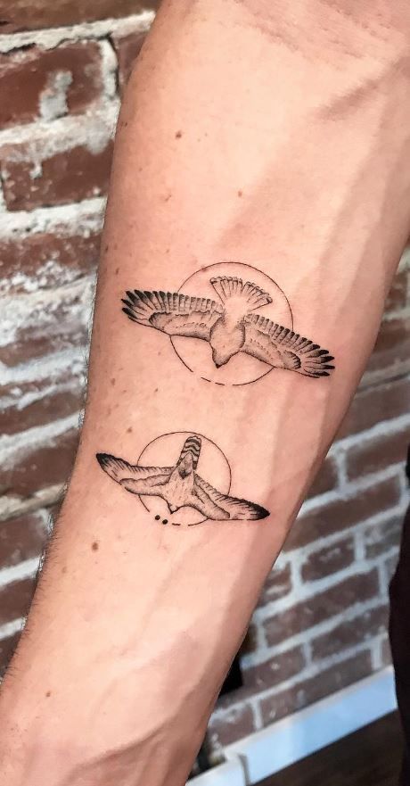 Small Hawk Tattoo For Women, Hawk Tatoos, Hawk Tattoos, Bird Of Prey Tattoo, Falcon Tattoo, Science Tattoos, Earthy Tattoos, Artsy Tattoos, Hawk Tattoo