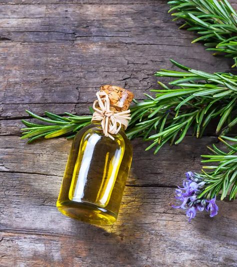 Rosemary Oil For Hair Growth And How To Use It Milk Hair, Herbs For Hair Growth, Caster Oil, Herbs For Hair, Rosemary Oil For Hair, Yoga Hair, Increase Hair Growth, Ayurvedic Remedies, Henna Hair