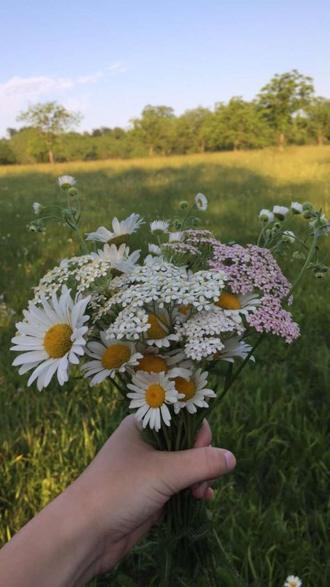 Swedish Summer, Country Flowers, Single Rose, Flower Therapy, Happy Vibes, Spring Aesthetic, Love Flowers, My Flower, Pretty Flowers