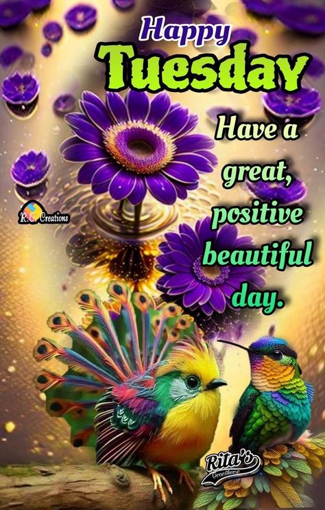 Tuesday Blessings Mornings, Good Morning Tuesday Wishes, Happy Tuesday Pictures, Tuesday Wishes, Happy Tuesday Images, Amen Quotes, Good Morning Messages Friends, Tuesday Quotes Good Morning, Tuesday Greetings