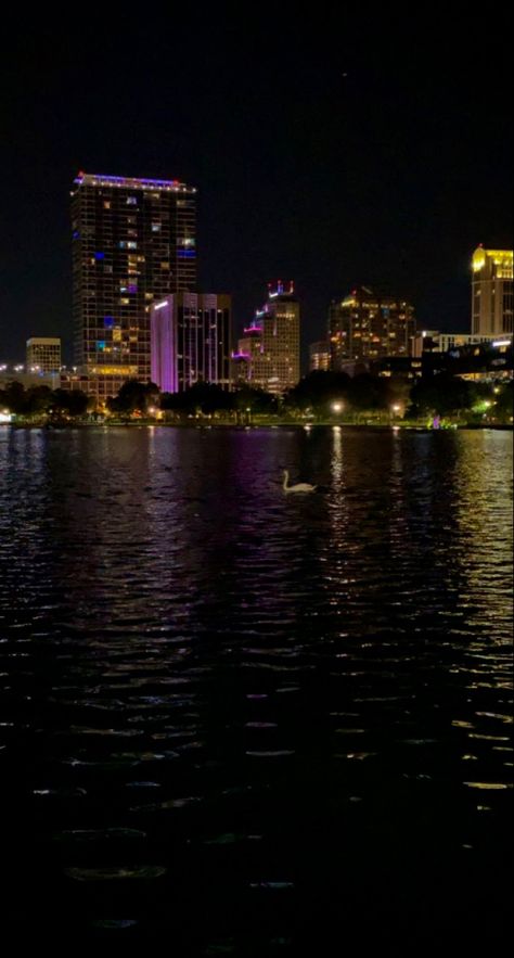 Downtown Tampa Florida Aesthetic, Downtown Orlando Aesthetic, Orlando At Night, Orlando Florida Aesthetic, Florida At Night, Orlando Florida City, Orlando Aesthetic, Lake Eola Orlando, Lake City Florida