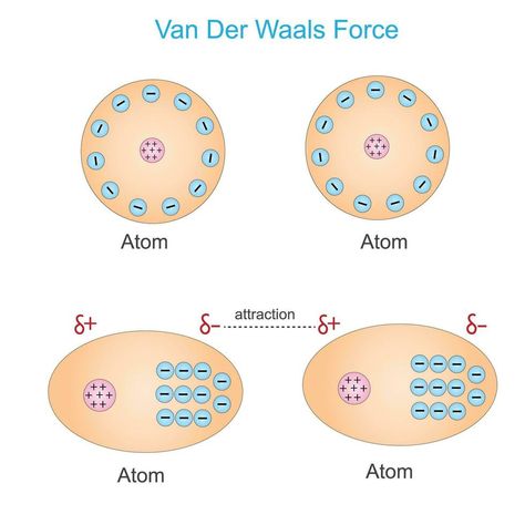 Van der waals force is a distance-dependent interaction between atoms or molecules. Unlike ionic or covalent bonds.the weak dipole attraction . physics and chemistry concept. Chemistry, Biology, Physics, Ionic And Covalent Bonds, Covalent Bonds, Physics And Chemistry, Black Hole, Atom, Vector Art