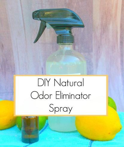 Cleaning Recipes, Diy Kosmetik, Health Signs, Hemma Diy, Natural Healing Remedies, Odor Eliminator, Natural Therapy, Pet Odors, Green Cleaning