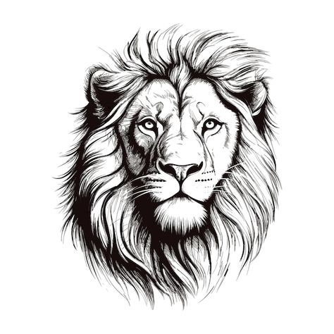 Lion Hand Tattoo Stencil, Lion Hand Tattoo Design, Lions Head Drawing, Lion Head Drawing Simple, Lion Head Drawing Sketches, Sketch Lion Tattoo, Lion Sketch Simple, Drawing Ideas Lion, Male Lion Drawing