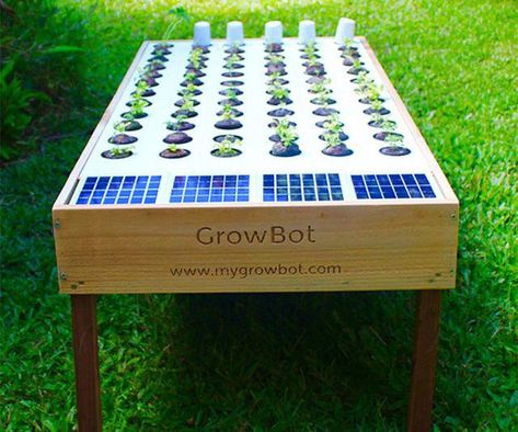 Enjoy the benefits of having a lush garden without needing an entire field by using this solar powered hydroponic grow box. This coffee table sized box takes only four easy steps to plant your seeds and uses 90% less water than traditional growers. #hydroponicseasy Hydroponic Grow Box, Aquaponics Diy, Hydroponic Farming, Hydroponics Diy, Grow Boxes, Hydroponic Growing, Coffee Table Size, Aquaponics System, Growing Fruit