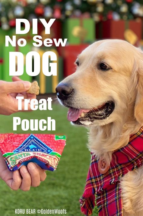 DIY No Sew Dog Treat Pouch Holiday Dog Treats, Puppy Training Treats, Santa Snacks, Dog Treat Bag, Service Dog Training, Dog Diy, Dog Treat Pouch, Diy Sewing Tutorials, Dog Training Treats