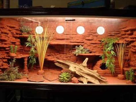 Bearded Dragon tank setup Bearded Dragon Tank Setup, Diy Bearded Dragon Enclosure, Gecko Cage, Bearded Dragon Vivarium, Bearded Dragon Terrarium Ideas, Dragon Terrarium, Bearded Dragon Diy, Bearded Dragon Funny, Bearded Dragon Enclosure