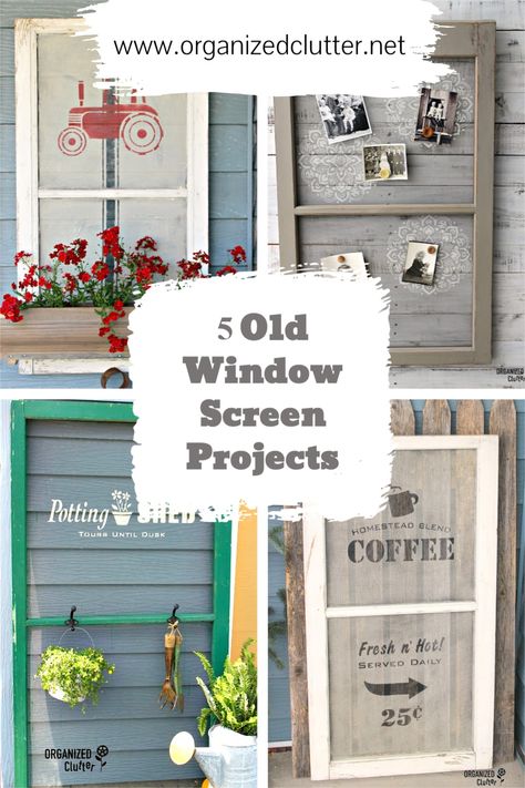 Repurposed Windows Decor, Old Window Screen Ideas, Window Screens Ideas, Upcycled Windows, Screen Window Ideas Diy, Upcycle Old Windows, Vintage Window Screen Ideas, Old Window Garden Ideas, Painted Screens Ideas