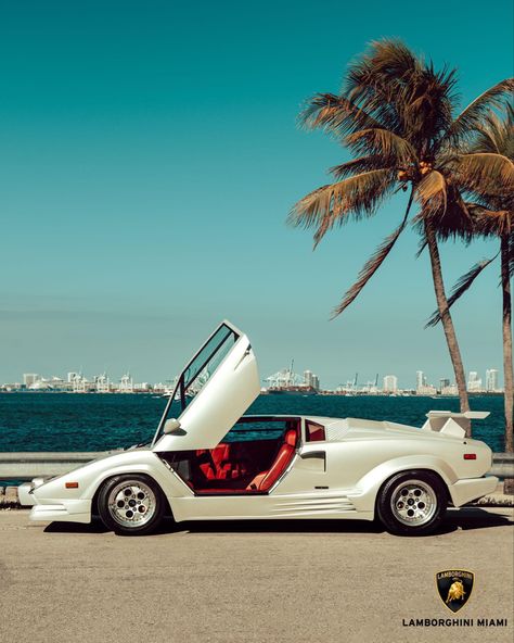 Vintage Lamborghini Aesthetic, 80s Cars 1980s, 80s Lamborghini, Lamborghini Countach Aesthetic, Lamborghini Aesthetic, Lamborghini Vintage, Vintage Lamborghini, Countach Lamborghini, 80s Car