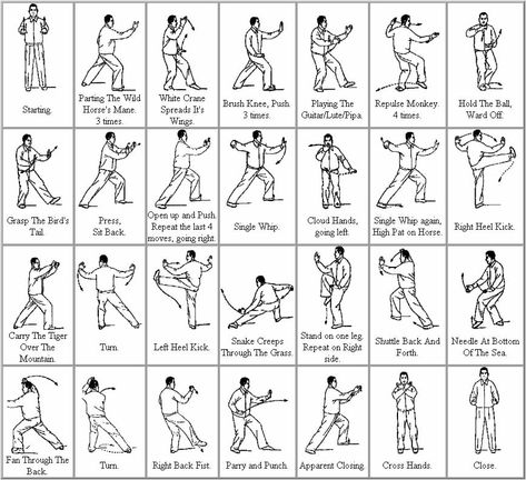 Man Of Tai Chi, Yang Style Tai Chi, Tai Chi Movements, Tai Chi Moves, Learn Tai Chi, Tai Chi For Beginners, Kenpo Karate, Beginner Poses, Tai Chi Exercise