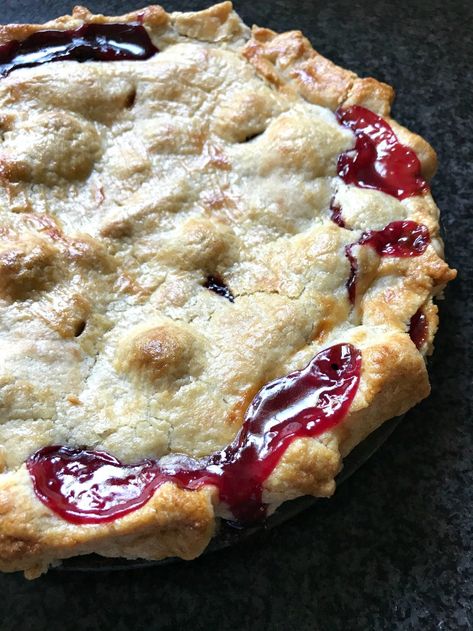 The Best Rhubarb Berry Pie Recipe on the Planet - One Hundred Dollars a Month Saskatoon Rhubarb Pie, Blackberry Rhubarb Pie, Rhubarb Berry Pie, Juneberry Recipes, Rhubarb Pie Recipe, Raspberry Rhubarb Pie, Blueberry Rhubarb Pie, Rhubarb Crumble Pie, Healthy Rhubarb Recipes