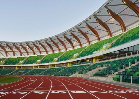 Oregon Track And Field, Timber Canopy, Glulam Beams, Hayward Field, Montana Cabin, Track Pictures, Athletic Greens, Wilderness Retreat, Vision Board Images