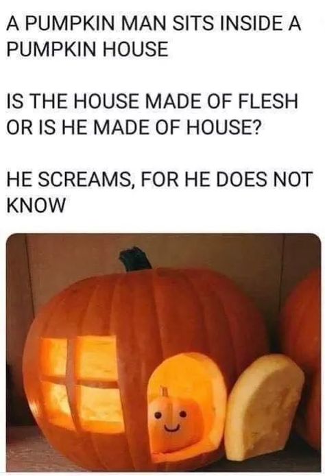 29 Spooky Pics And Memes That Will Scare Boredom Out Of You - Wow Gallery Labu Halloween, Pumpkin Man, Pumpkin House, Halloween Pumpkins Carvings, Pumpkin Design, Really Funny Pictures, Fall Fun, A Pumpkin, Dia De Muertos