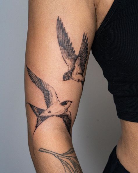 Some more angles of this one from a couple weeks ago! • • • #tattoo #tattooing #tattooartist #tattoos #art #drawing #tattooart… | Instagram Robin Hand Tattoo, Bird Tattoo Back Of Arm, Bird Arm Tattoos For Women, Cactus Wren Tattoo, Bird Arm Tattoo, 3 Birds Tattoo, Swallows Tattoo, Blue Bird Tattoo, Two Birds Tattoo